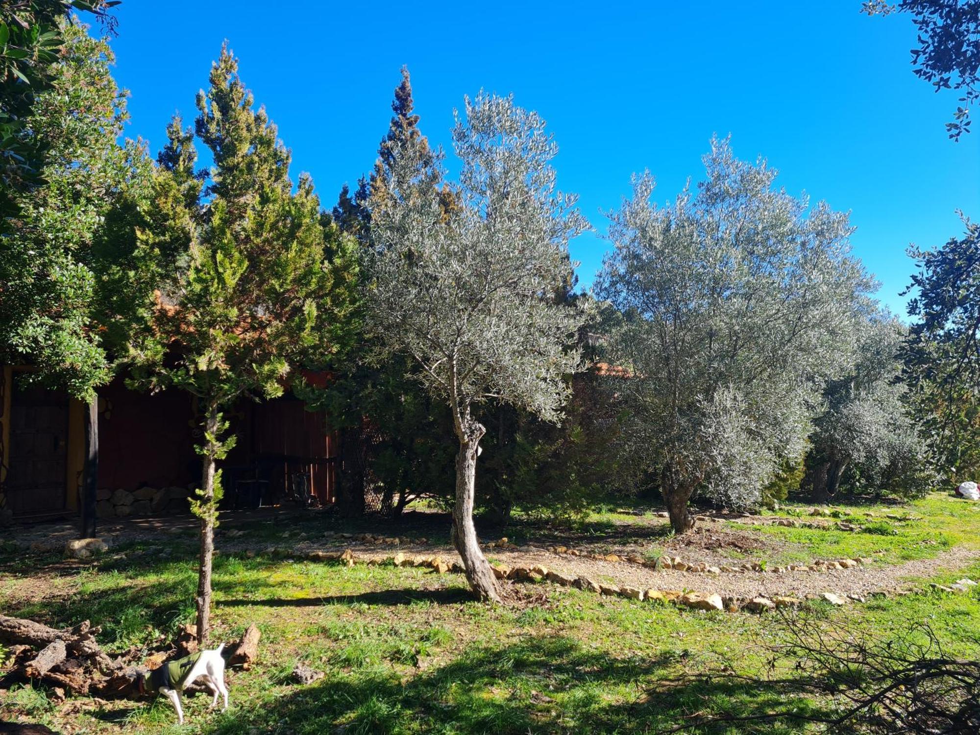 Apartamentos Rurales Candela Cañamero Exteriör bild