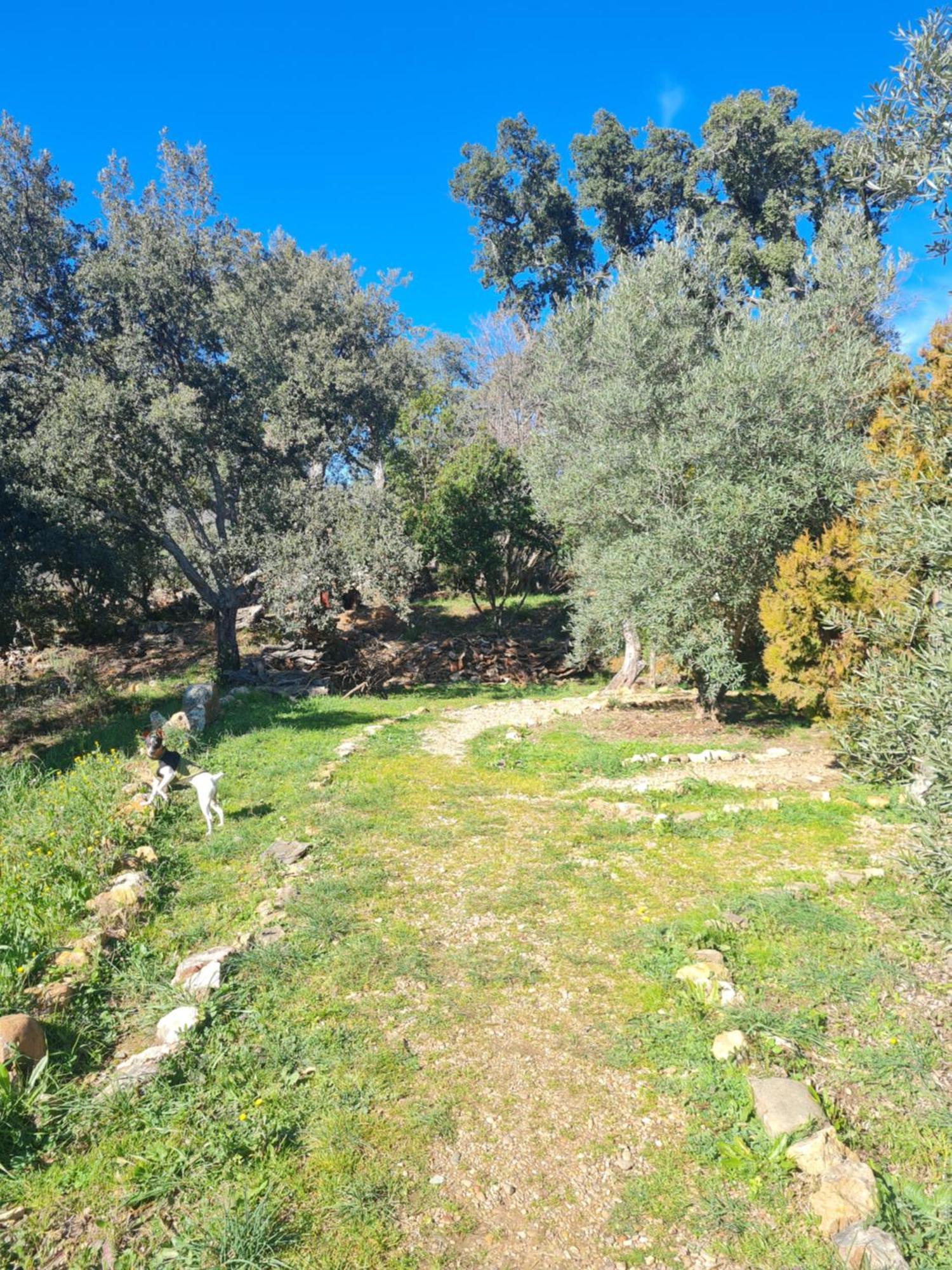 Apartamentos Rurales Candela Cañamero Exteriör bild