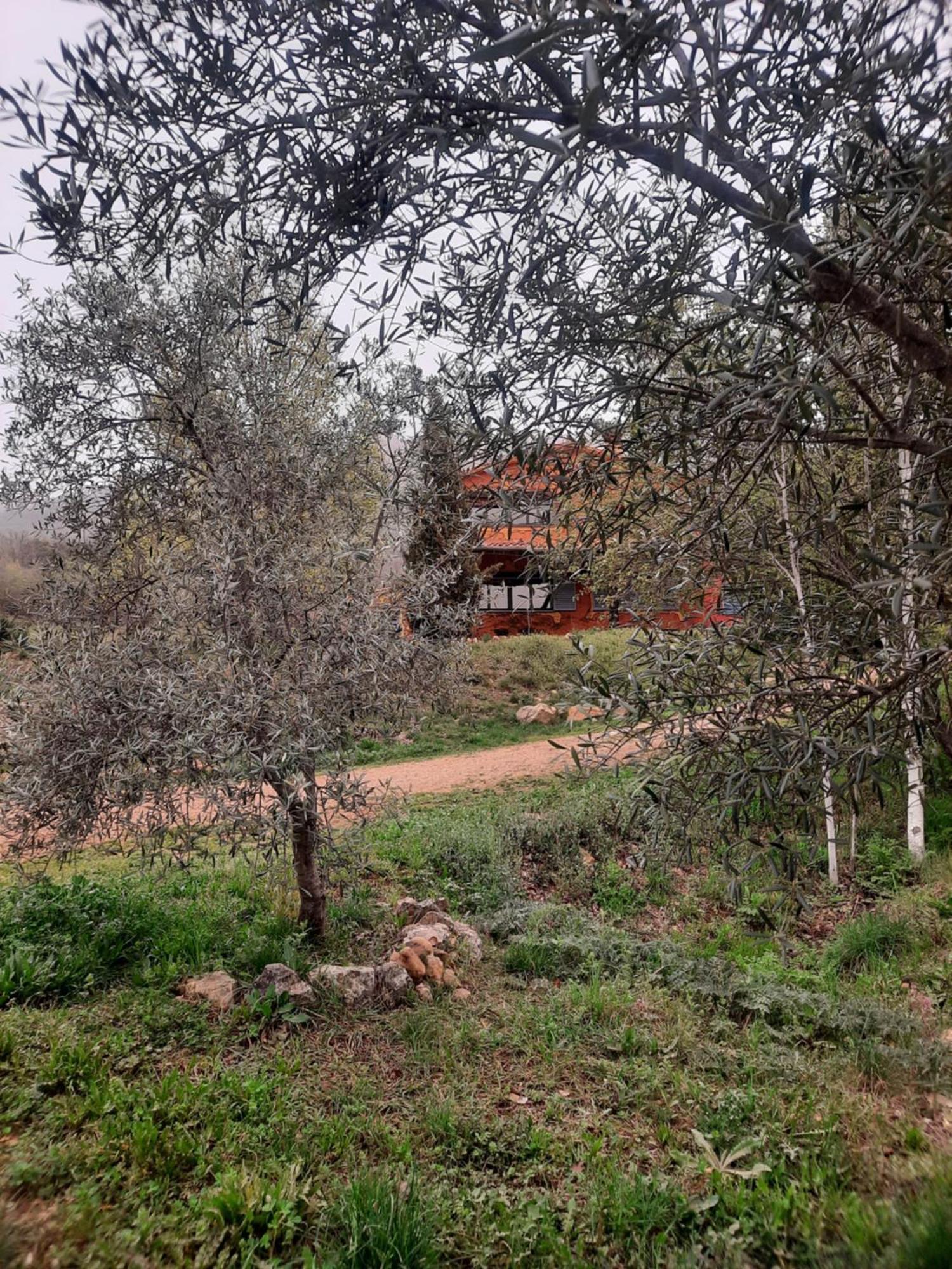 Apartamentos Rurales Candela Cañamero Exteriör bild