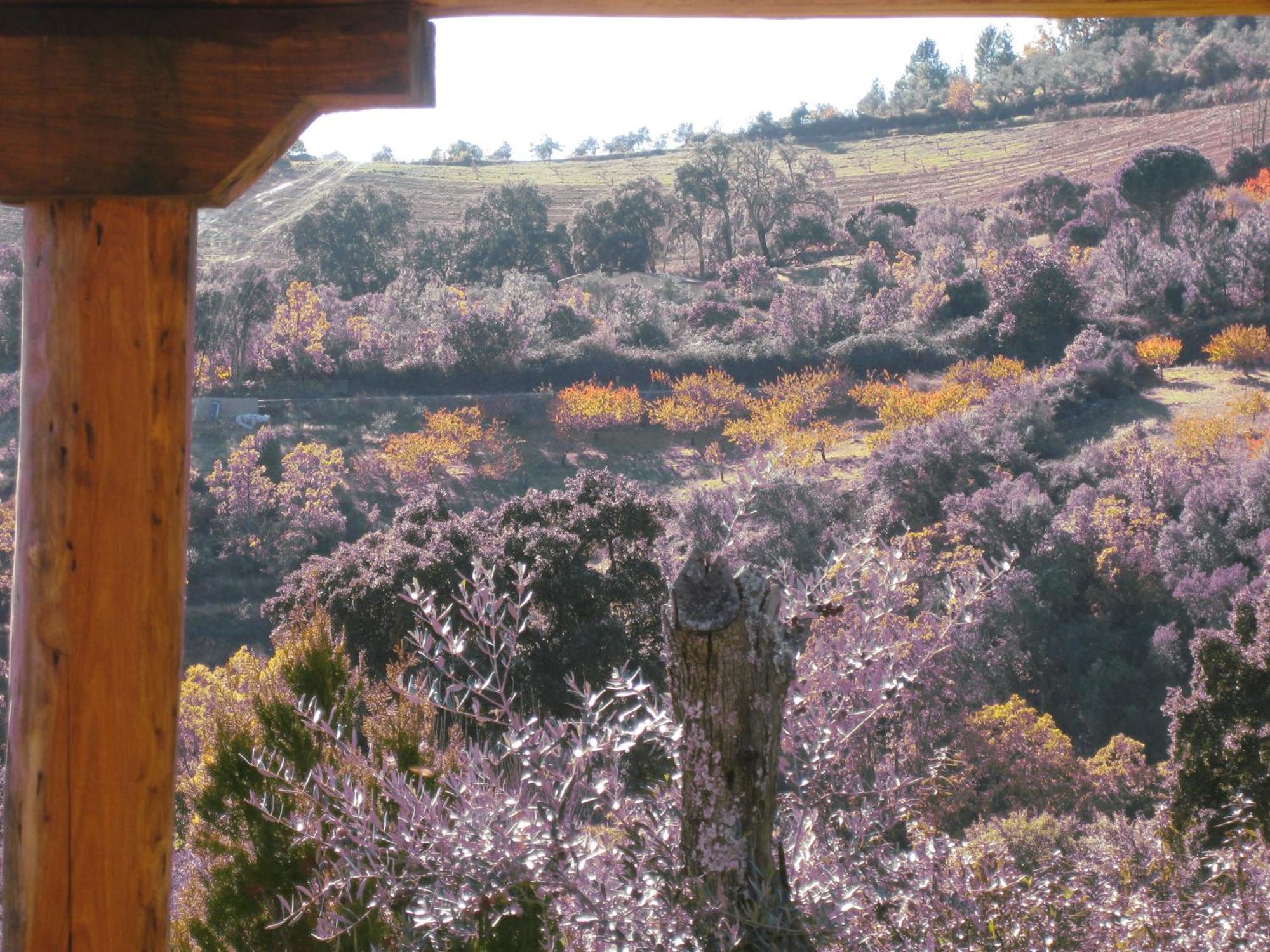 Apartamentos Rurales Candela Cañamero Exteriör bild